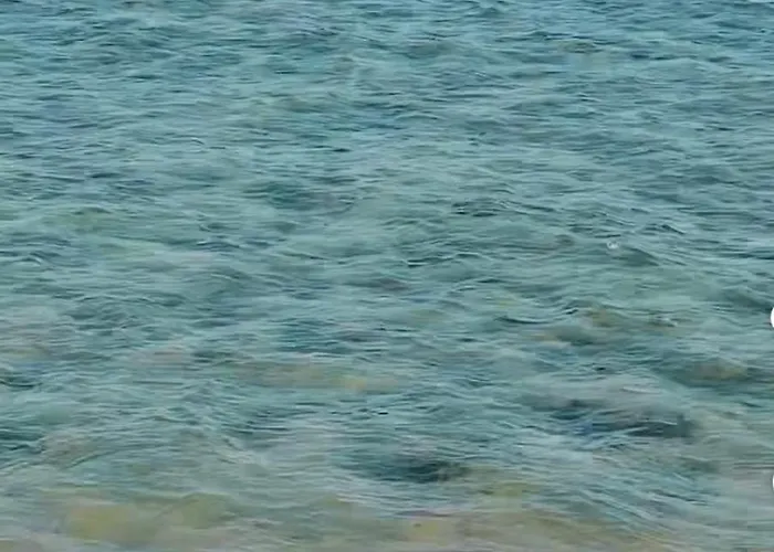 Privato Coral Aquamarine 1 *
